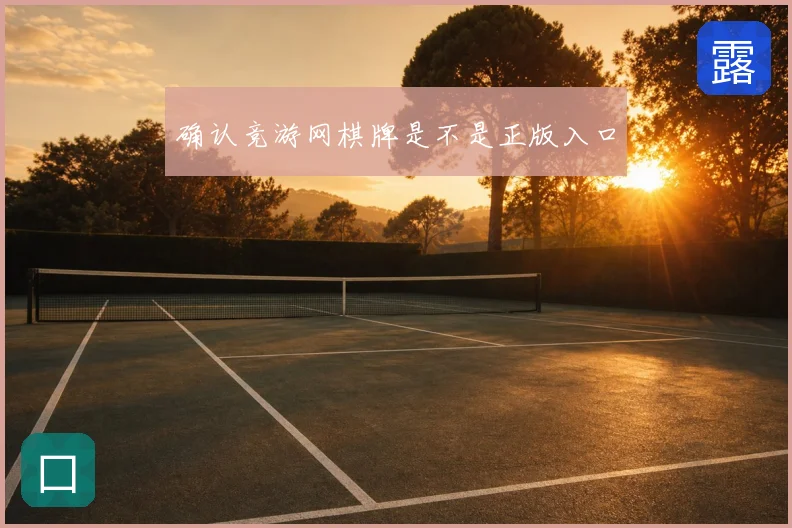 确认竞游网棋牌是不是正版入口